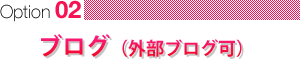 ブログ(外部ブログ可)